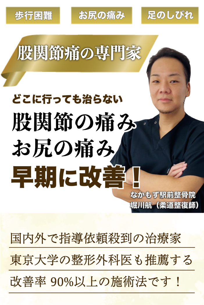 股関節痛 専門院 | 堺市の整体なら改善率98.2％を誇るなかもず駅前整骨院